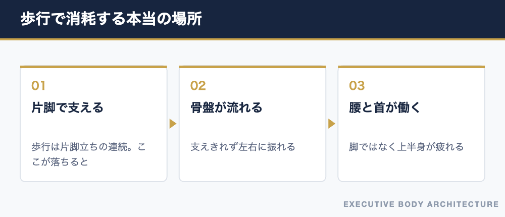 歩くと腰と首が疲れる理由