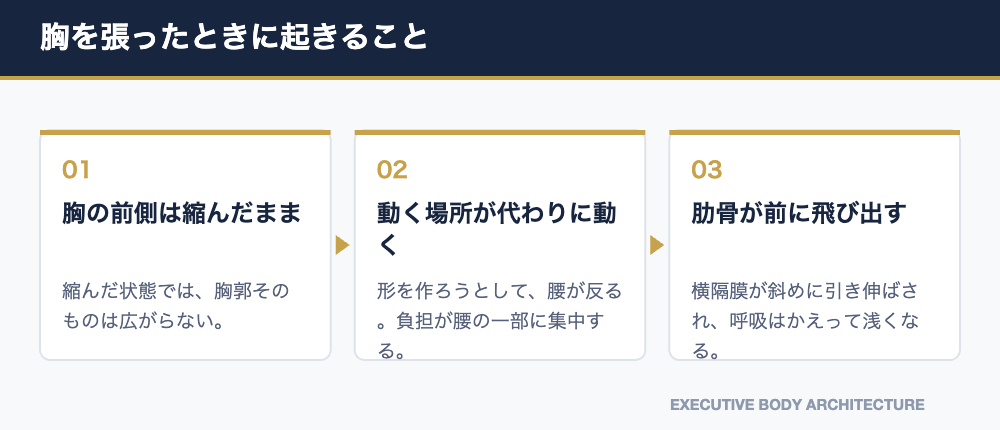 胸を張ったときに腰が反り、肋骨が前に出て呼吸が浅くなる流れを示した図