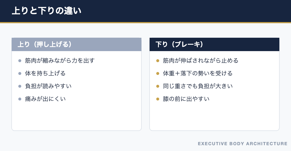 階段の上りと下りで膝にかかる負担の違い