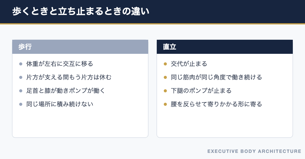 歩行と直立で腰にかかる負担の違い