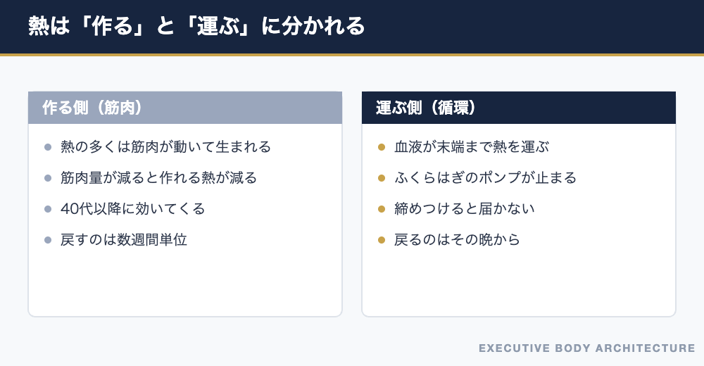 体温は熱を作る側と運ぶ側に分かれる